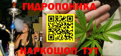 ПСИЛОЦИБИНОВЫЕ ГРИБЫ Вязьма