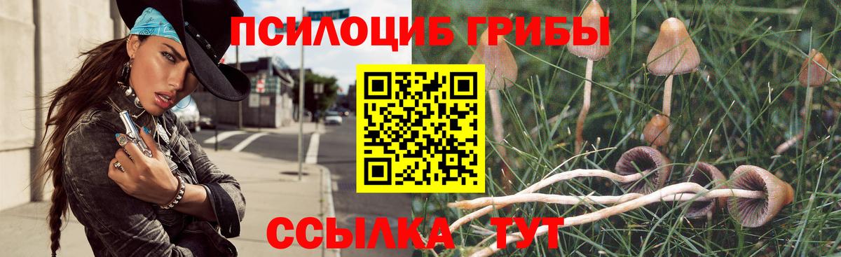 Великие Луки  Псилоцибиновые грибы MAGIC MUSHROOMS  Вход с VPN 