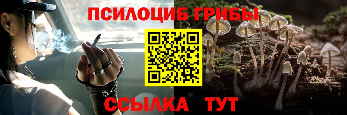 Псилоцибиновые грибы Cubensis Великие Луки